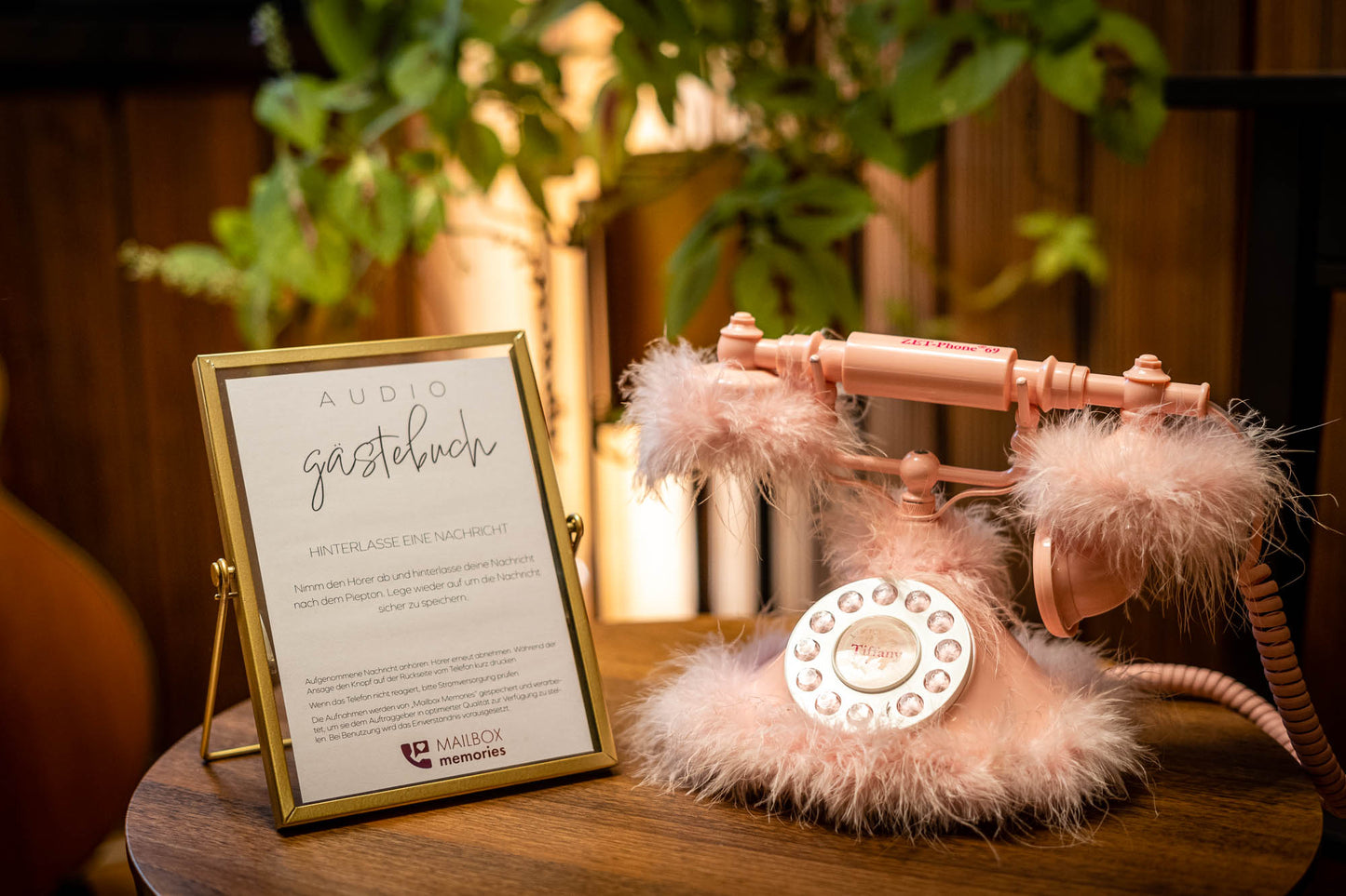 Audio-Gästebuch Plüsch-Telefon "The Fuzzy" mit goldenem Aufsteller